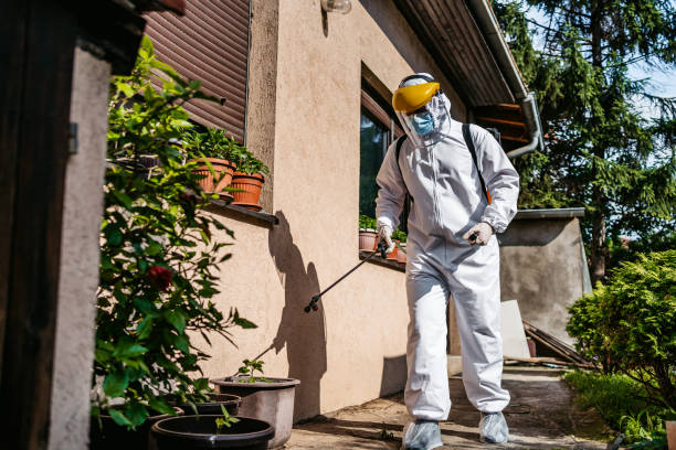 Best Exterminator Services  in Hico, TX