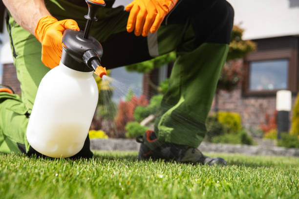 Best Bed Bug Extermination  in Hico, TX