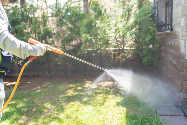 Best Bed Bug Extermination  in Hico, TX