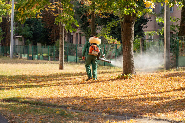 Best Affordable Pest Control Services  in Hico, TX