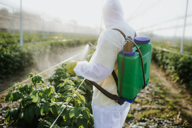 Best Best Pest Control Companies  in Hico, TX